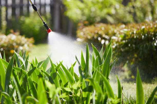 Tamper-Resistant Bait Stations for Rodents in North Webster