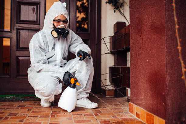 Attic and Crawl Space Rodent Treatment in North Webster