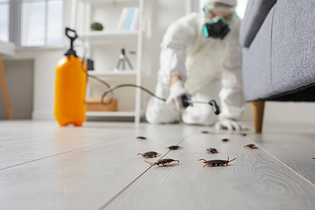 Commercial Rodent Management in North Webster